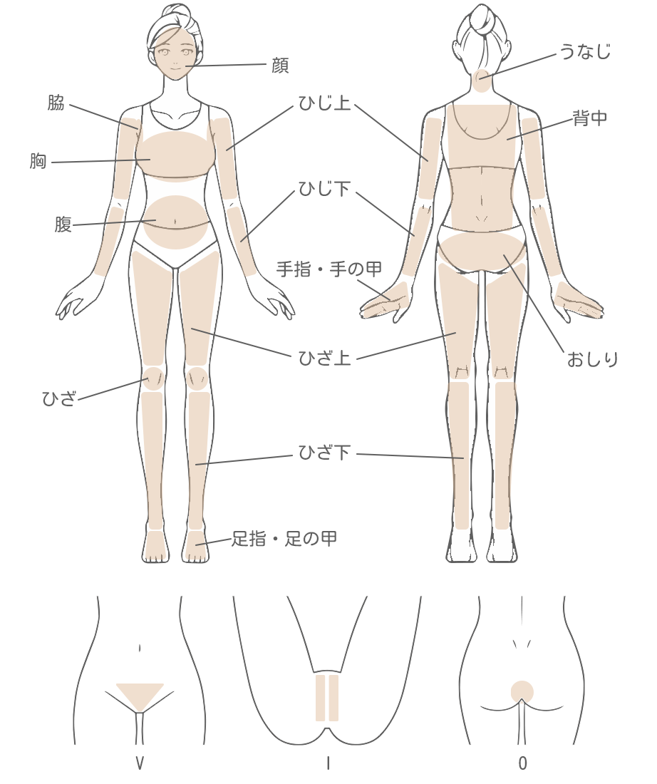 施術部位